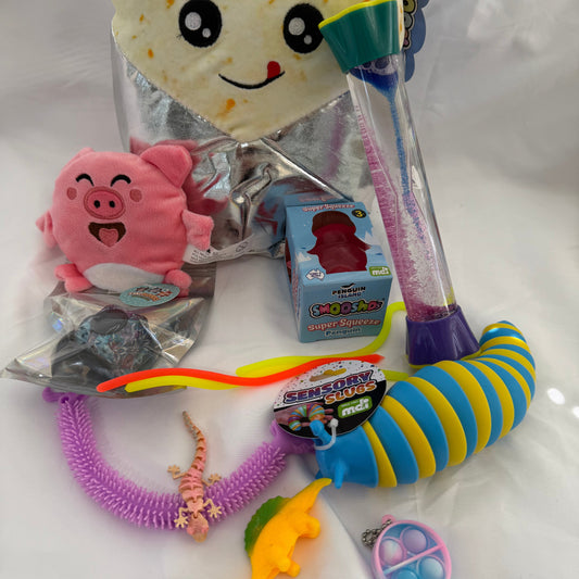 Sensory Fun Bag – 11 Calming Fidget Toys Inside!